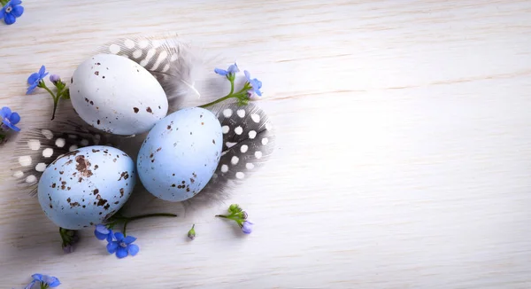 Art happy Easter; Easter egg and spring flowers — Stock Photo, Image