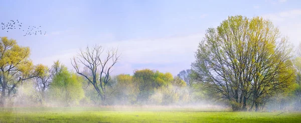 Kunst Frühling Landschaft; Ostern Hintergrund mit blühenden Frühling tre — Stockfoto