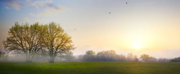 Arte Paisaje de campo de primavera; campo de cultivo de la mañana y blo — Foto de Stock