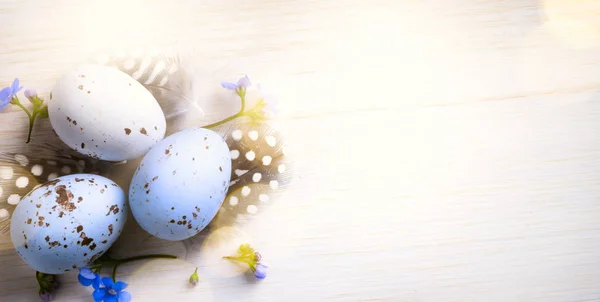 Arte felice giorno di Pasqua; uovo di Pasqua e fiori primaverili — Foto Stock