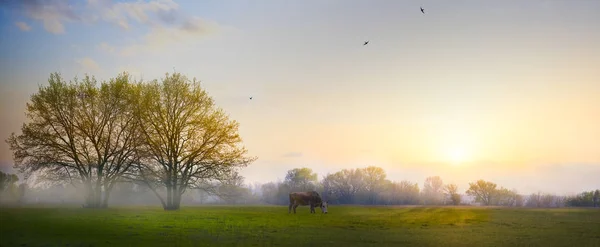 Arte Paisaje de campo de primavera; campo de cultivo de la mañana y blo — Foto de Stock