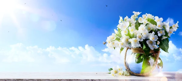 Fleurs printanières fond bleu ciel ; Printemps ou été Nature b — Photo
