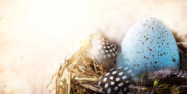 Arte feliz día de Pascua; Huevo de Pascua y pluma de pájaro —  Fotos de Stock