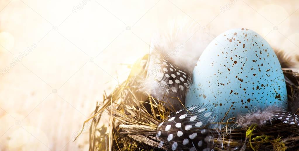 art happy Easter day; Easter egg and Bird feather