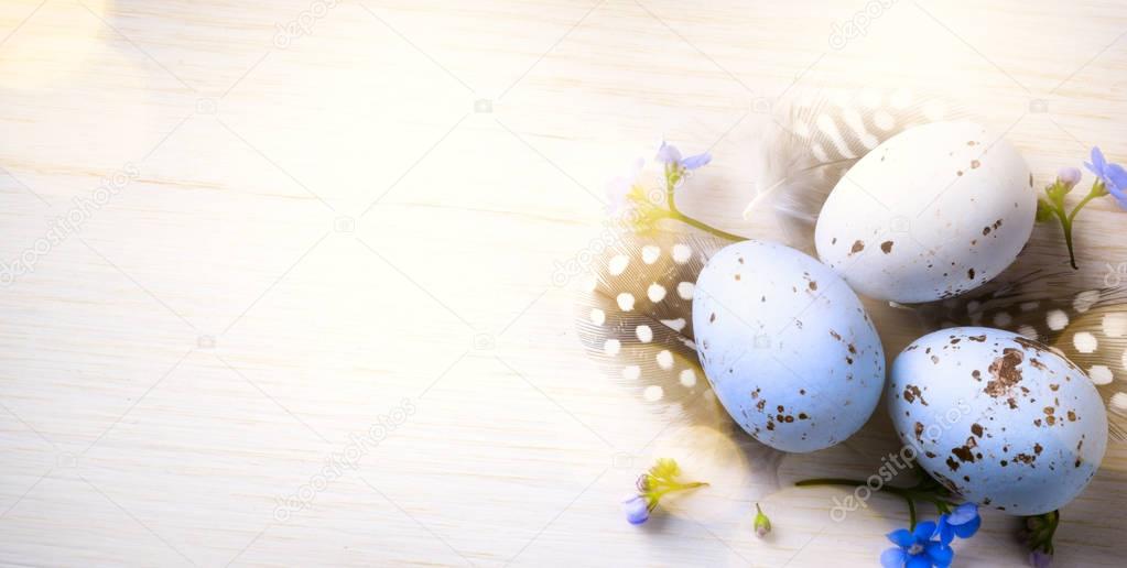 Happy Easter day; Holidays background with Easter eggs and sprin