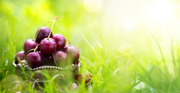 Comida sana de verano; fruta fresca de cereza sobre un fondo verde —  Fotos de Stock