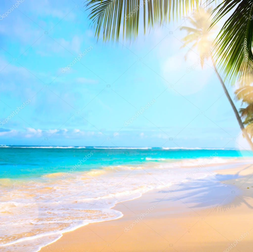 Blur beautiful nature palm tree on tropical beach with bokeh sun