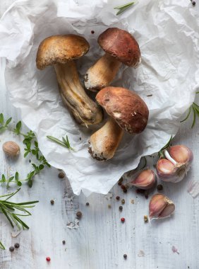 Organik porcini mantar; Orman mantar ve İtalyan baharat 