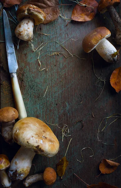 Fondo de cocina de otoño; condimento bosque orgánico porcini Mu —  Fotos de Stock