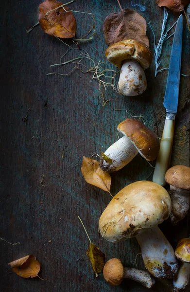 Fond de cuisine d'automne ; assaisonnement forêt porcini bio Mu — Photo