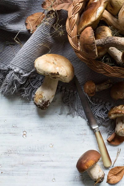 Fondo cucina autunnale; stagionatura foresta biologica porcini Mu — Foto Stock