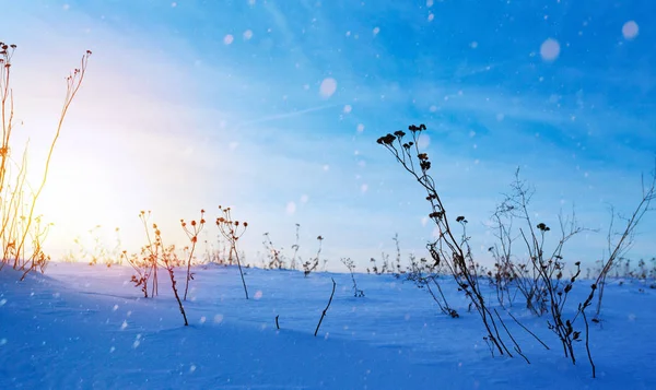 Arte nevado paisaje de invierno; campo congelado; hielo y nieve —  Fotos de Stock
