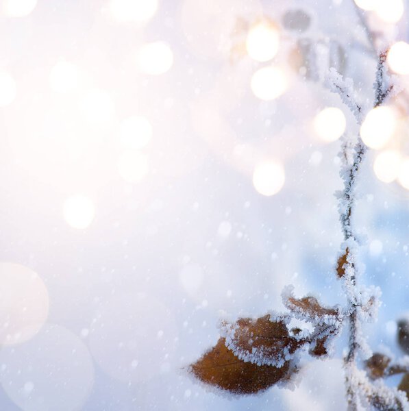 Christmas background; Blue winter Christmas Landscape; winter co