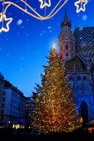 Европейское Рождество; Рождественская елка и Старый город — стоковое фото