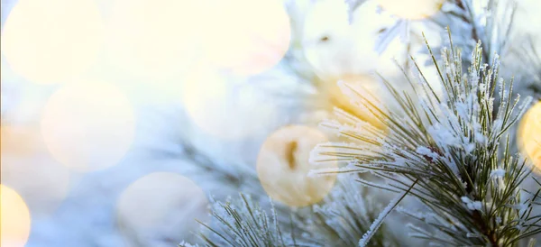 Kunst blau schneebedeckter Weihnachtsbaum; Winter Urlaub Hintergrund — Stockfoto