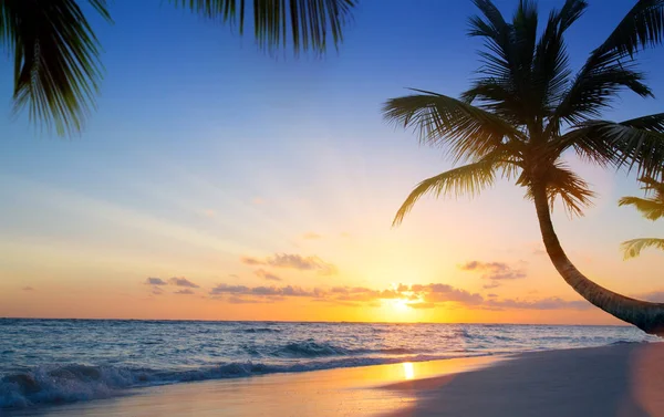 Tropikal plaj üzerinde sanat güzel gün batımı — Stok fotoğraf