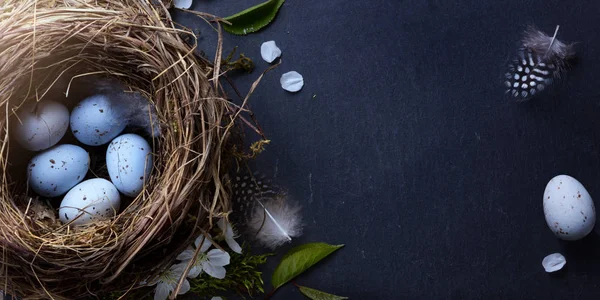 Feliz Pascua; Huevos de Pascua en nido y flor de primavera en la mesa ba —  Fotos de Stock
