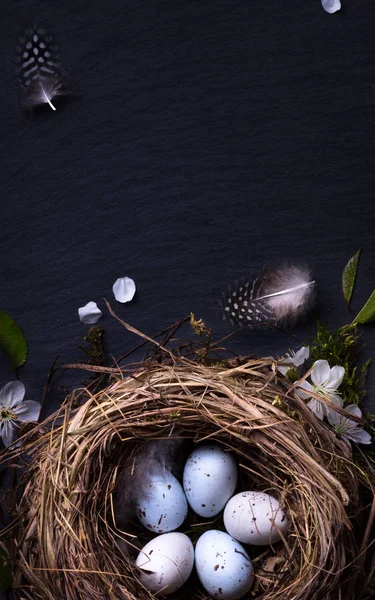 Счастливой Пасхи; Пасхальные яйца в гнезде и весенний цветок на столе ба — стоковое фото