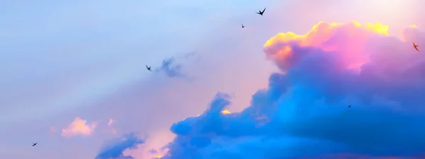 Absztrakt tavaszi ég háttere; repülés madarak, rózsaszín felhők — Stock Fotó