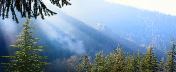 Sztuka góry Las Krajobraz; wiosenny spokojny poranek; — Zdjęcie stockowe