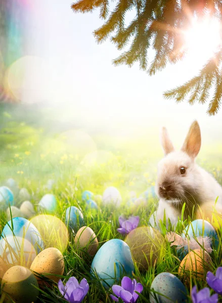 Arte sfondo di Pasqua; Primavera fiori coniglietto pasquale e pasqua e — Foto Stock