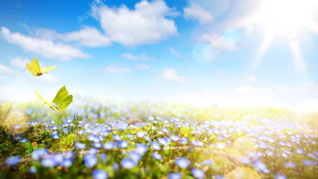 Easter background with fresh spring flowers
