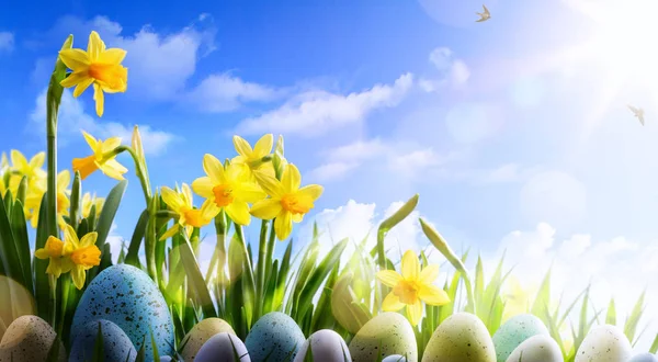 Art Easter background; Spring flowers and easter eggs — Stock Photo, Image