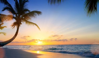 Sanat yaz tatil drims; Tropikal plaj üzerinde güzel gün batımı