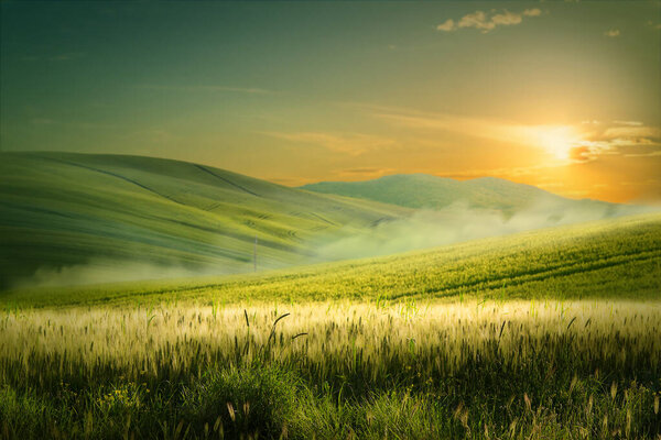 Beautiful nature countryside landscape; spring flowering field over sunrise sky