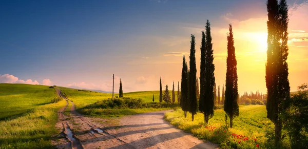 Art spring countryside landscape with beautiful farmland and dir — Stock Photo, Image