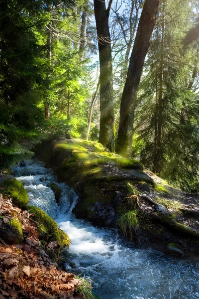 Bosque de primavera Fondo natural. Paisaje de montaña natural — Foto de Stock