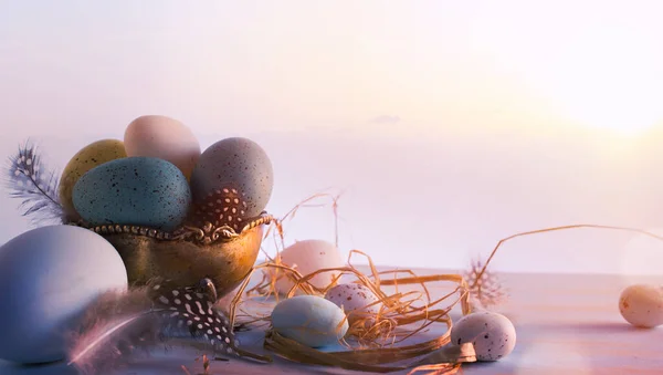 Art Easter Morning Risen Easter Eggs Basket Bird Feather Morning — Φωτογραφία Αρχείου