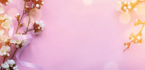 Удивительный Весенний Цветок Красивые Вишневые Нежные Цветы Розовом Фоне — стоковое фото