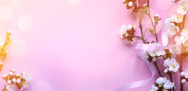 Geweldige Lente Bloesem Banner Achtergrond Mooie Kersenboom Tedere Bloemen Roze — Stockfoto