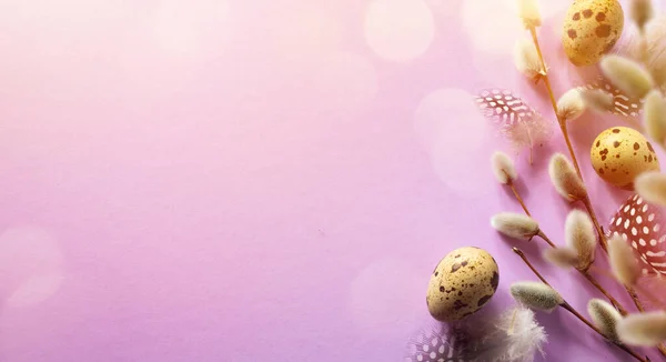 Osterbanner Mit Eiern Vogelfedern Und Frühlingsblumen Auf Rosa Hintergrund Draufsicht — Stockfoto