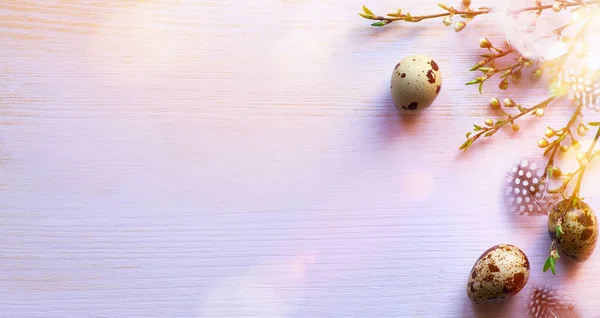 イースターのバナーやピンクの背景にイースターの卵 鳥の羽や春の花とグリーティングカードの背景 トップビュー コピースペース付きフラットレイアウト — ストック写真