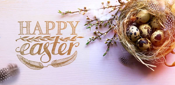 Art Happy Easter Risen Easter Eggs Spring Flowers Bird Feather — Stock Photo, Image