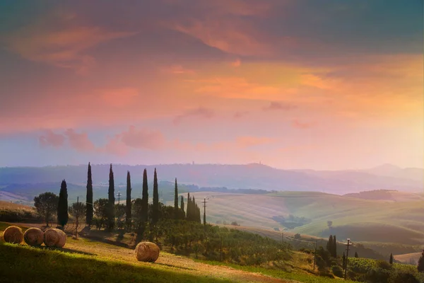 Hermoso Paisaje Rural Italiano Verano Toscana Tierras Cultivo Ciprés Olivo — Foto de Stock