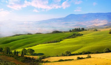İtalyan Toskana buğday tarlasının panoramik manzarası, yeşil ve sarı tarım arazisi tepeleri