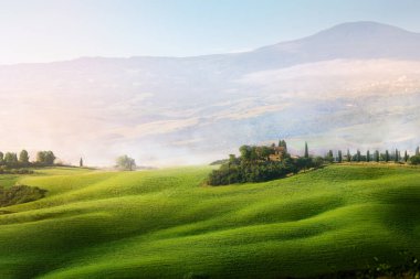 İtalyan Toskana yazının panoramik manzarası buğday tarlası; yeşil tarım arazisi tepeleri