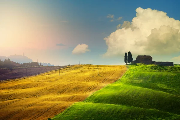 Landschaft Sommerlandschaft Der Italienischen Toskana Gelbe Und Grüne Weizenfelder Landwirtschaftliche — Stockfoto