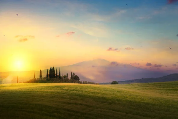 Piękne Lato Włoski Toskania Krajobraz Wsi — Zdjęcie stockowe
