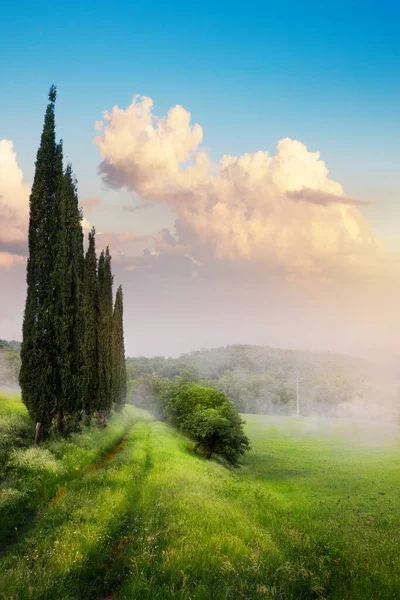 Zomer Landschap Met Prachtige Landbouwgrond Onverharde Weg Zonsopgang — Stockfoto