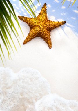 Art Summer Beach geçmişi; Tropikal deniz tatili