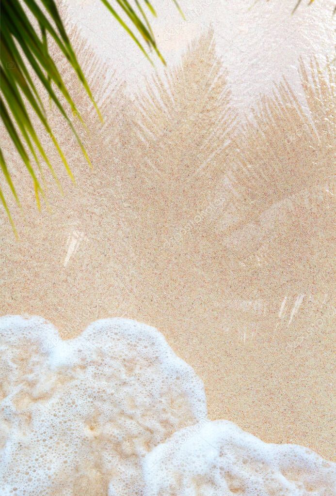 art reflection of a palm tree in the wet sand of a sunny tropical beach