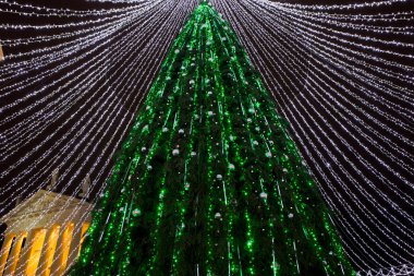 Vilnius Noel ağacı 2016