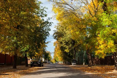 Sakin ve güzel sokak Vilnius, Zverynas İlçesi'nde Edebiyat