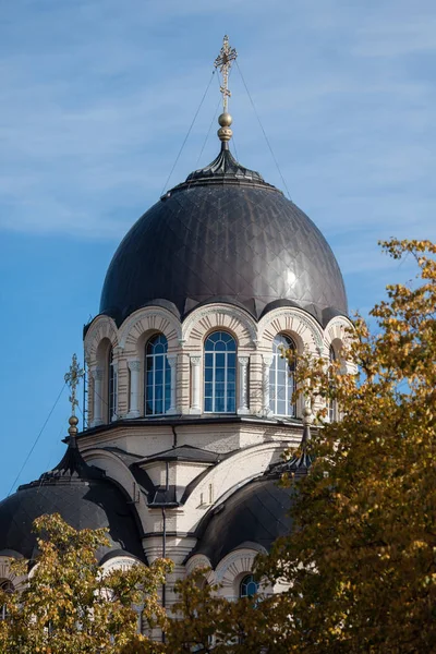 Знаменская церковь Богоматери в Вильнюсе, Литва — стоковое фото