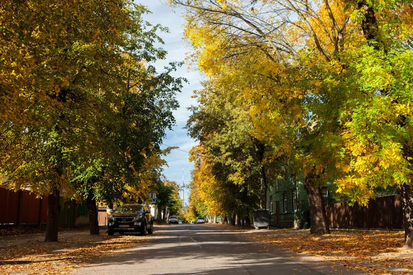 Sakin ve güzel sokak Vilnius, Zverynas İlçesi'nde Edebiyat