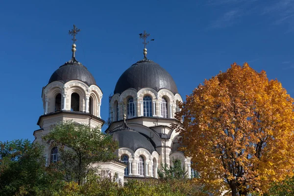 Η Παναγία της εκκλησίας σημάδι στην Vilnius, στη Λιθουανία. — Φωτογραφία Αρχείου